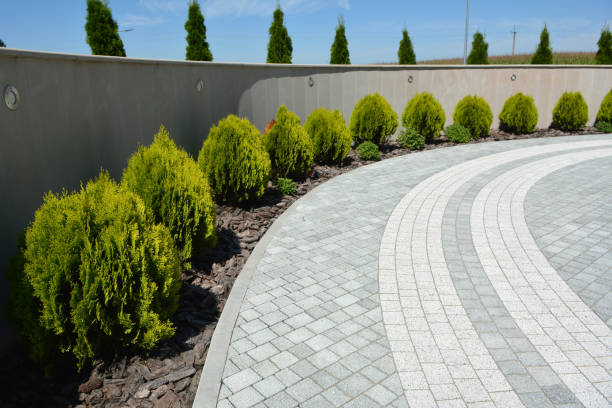 Best Permeable Paver Driveway  in Brownlee Park, MI